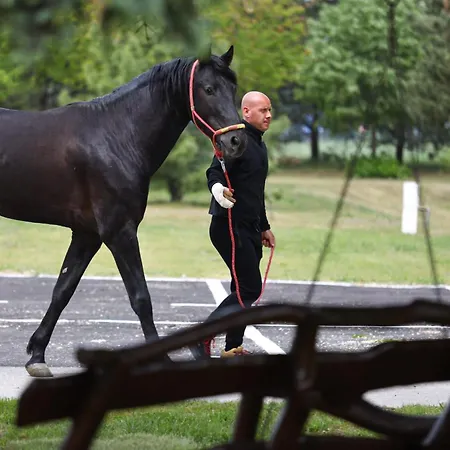 Ξενοδοχείο Majur Σουμπότικα