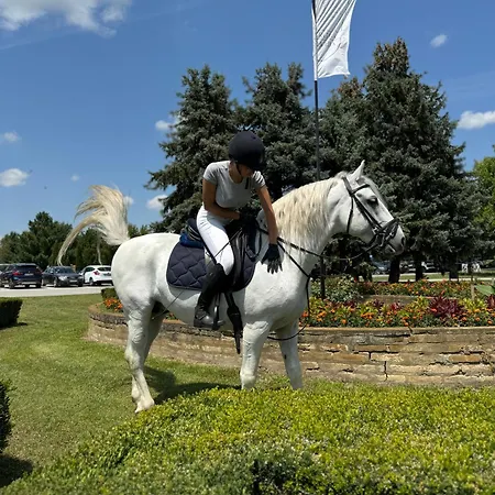 Majur 4* Σουμπότικα