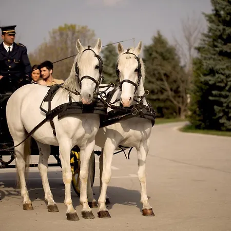 Ξενοδοχείο Majur Σουμπότικα